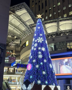 広島県広島市中区薬研堀のセクキャバ FORTUNEの写メ日記　🎄画像