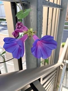 広島県広島市中区薬研堀のセクキャバ FORTUNE 写メ日記 お疲れ様です*´ㅅ`)