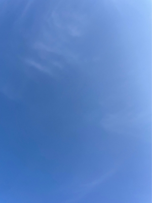 広島県広島市中区薬研堀のセクキャバ FORTUNEの写メ日記　花粉症🤧画像