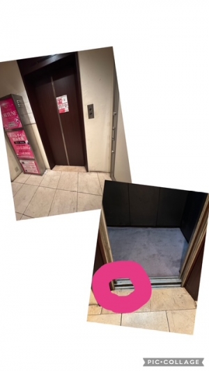 広島県広島市中区薬研堀のセクキャバ FORTUNEの写メ日記　どんくさい🥺画像