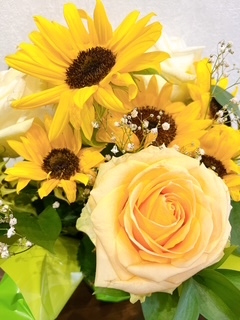 広島県広島市中区薬研堀のセクキャバ FORTUNEの写メ日記　🌻💛🌻画像