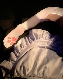 広島県広島市中区薬研堀のセクキャバ FORTUNEの写メ日記　肉球🐱画像